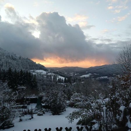 Gite Du Poirier Le Tholy Luaran gambar
